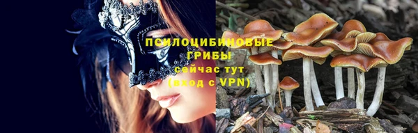 mdpv Арсеньев